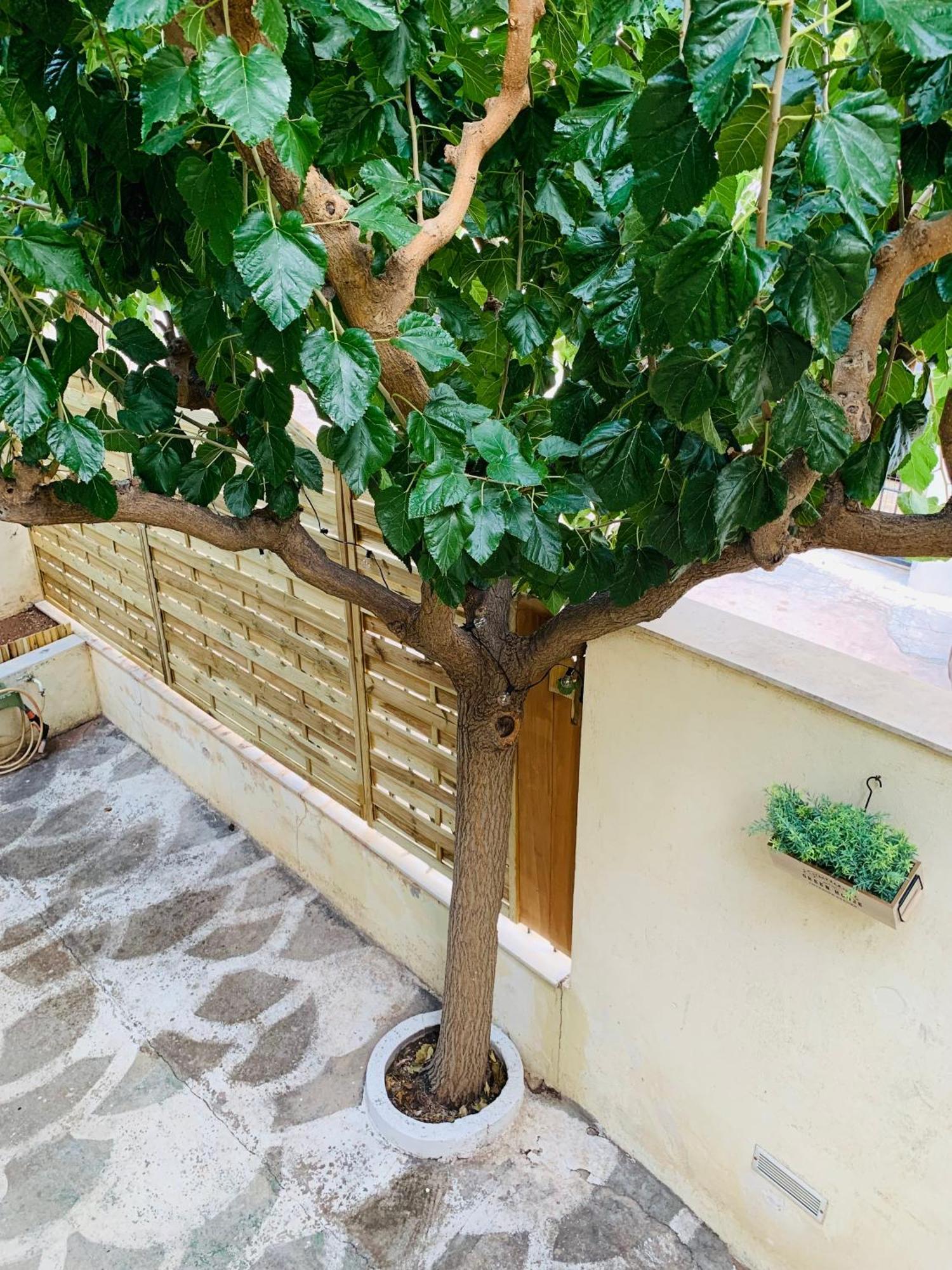 Airport Cottage House Artemida  Dış mekan fotoğraf